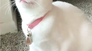 Funny TikToks that make my Monday better 9