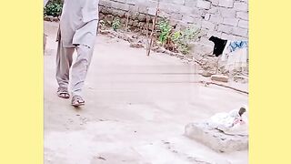 Kam Stayel Day yar