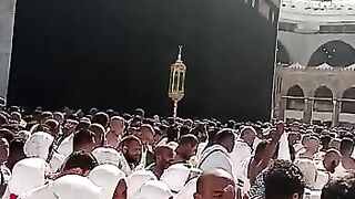 video 24