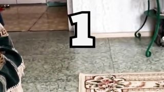 Funniest Dogs And Cats Videos| Best Funny Animal Videos 2023 #34 2