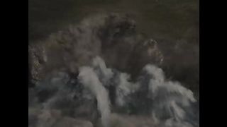 The Amazons vs Steppenwolf