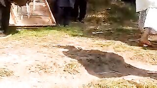 Kashmir ma shadi ke video