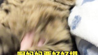 Top Funny Cute Cats Viral Clips????|| Best #funny Cats #shorts Video????|| #trending #animals #reels