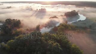 Amazing nature 3