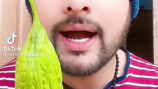 Pagal aurat