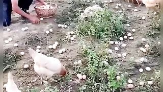 СЕЛО 3