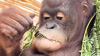 Funny videos ???????????? 2
