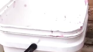 ДОМАШНО ЗЕМЕДЕЛИЕ
