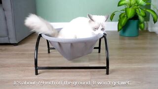 Jnspow cat and dog  bed