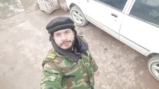In murre