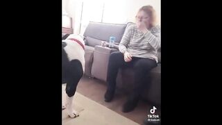 Funniest Animals Videos 2023