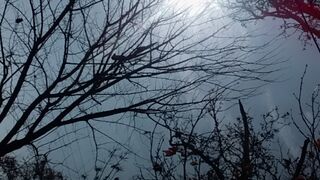 Beautiful video ../ Balochistan Quetta...// Rest house...