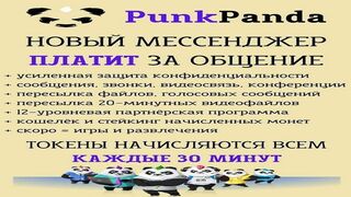 «Видео Семинар по поводу PunkPanda»