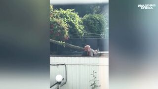 Академия смеха