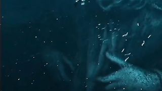 Beware of the deep see! ???? @lights.are.off Art video