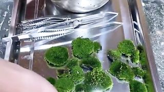 Mini garden trendy video tiktok