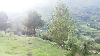Nature beauty 8