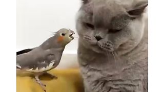 Love ???????? very nice good ????????