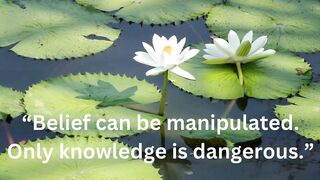 Knowledge Quotes 2