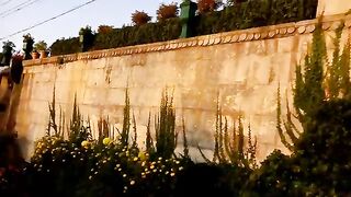 Mughal garden