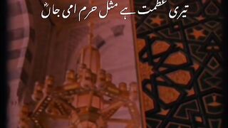 In Glory of Amma AYESHA R.A the Mother of Muslim Ummah