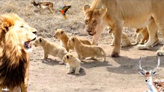 Happy family Adventure szczęśliwa rodzinna przygoda счастливое семейное приключение
