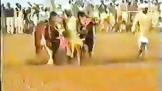 Bull race pakistan bail karah