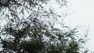 045158mp4✓