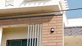 Bird love 2