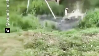 The end funny viral
