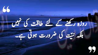 Aqwale zeree