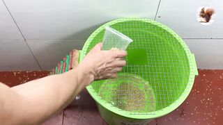 teaching to capture mice
