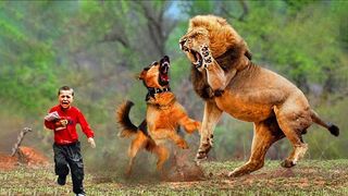 40 Hero Animals that Saved Human Lives at the Perfect Time!