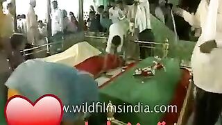 ولی اللہ دے