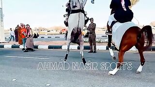 #best#arabic#horse#of#world#attack#on#other#horse