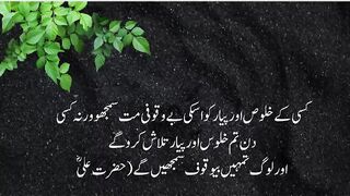 quotes channel 31