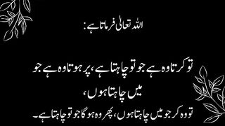 quotes channel 33