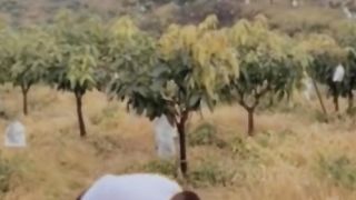 MEME #MEME FUNNY VIDEO 2