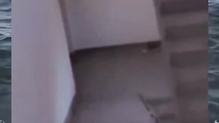 MEME #MEME FUNNY VIDEO 3