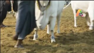 Viral funny ???????? video