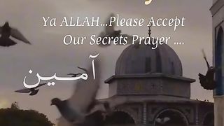 videos 10