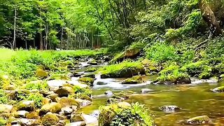 Beautiful nature ????????????????????????