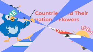 Counties and their national Flowers