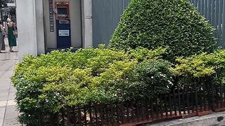 Air Thai office in Thailand