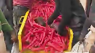 Traditional way of Processing Carrot ( गाजर ) in Indian Village | 9947Asim |