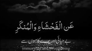 #quranverseoftheday #islamic_video #quran