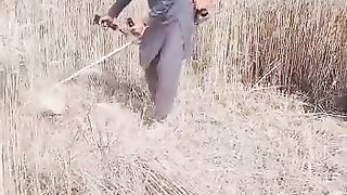 Ghulam Qasim Gadum ki katai