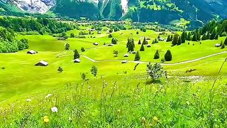 Beautiful nature 7