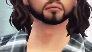 The sims 4