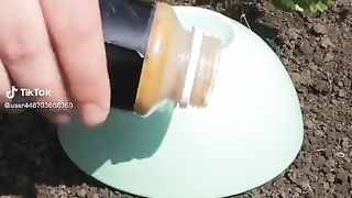 video Garden plant protection